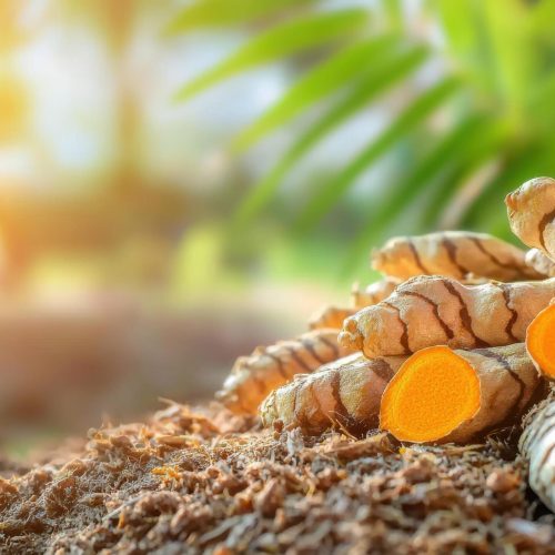 fresh-turmeric-roots-on-soil-with-sunlight-and-green-leaves-natural-spice-and-herbal-medicine-concept-free-photo